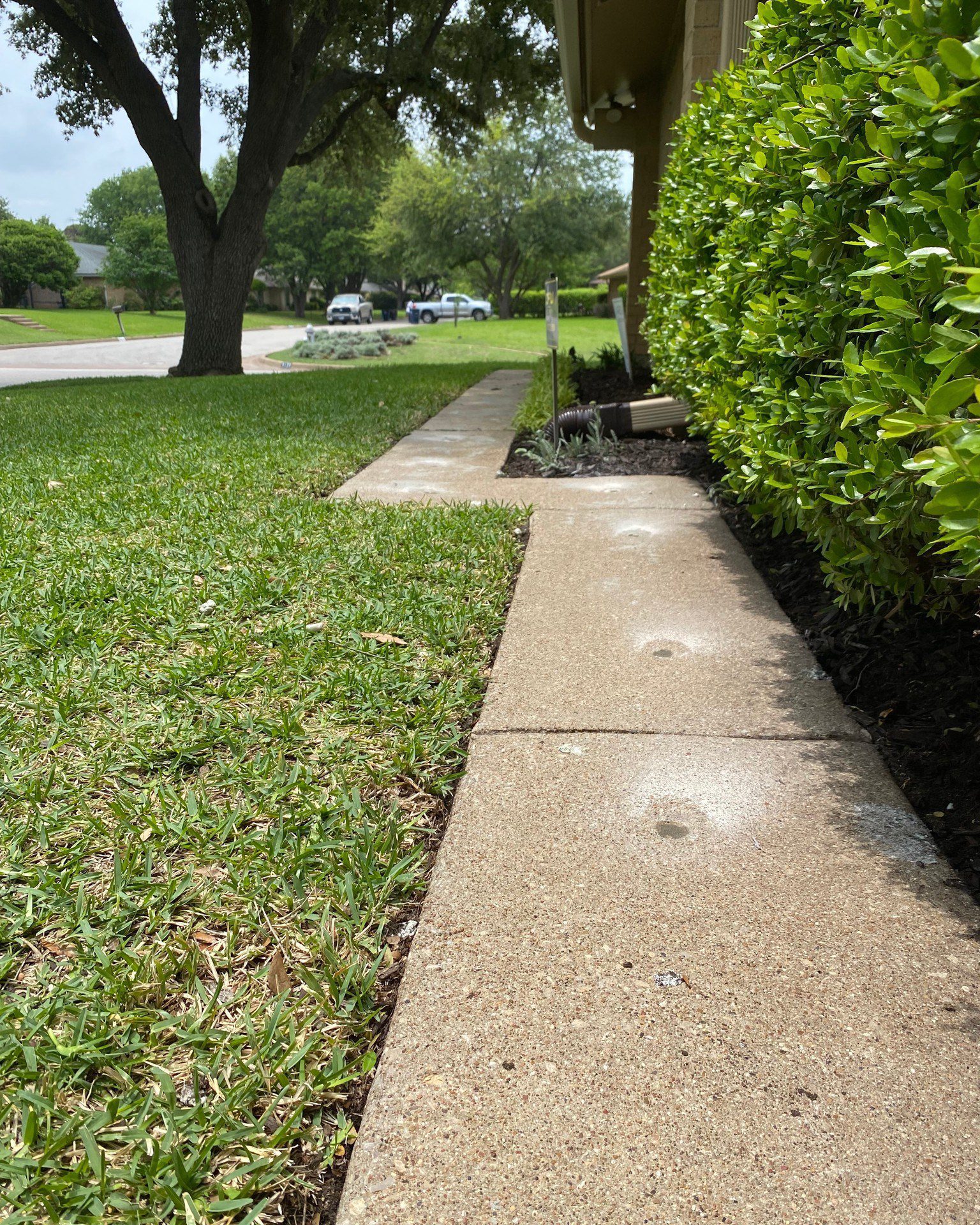 A Precision Foundation Repair crew member using injection equipment to lift and stabilize a residential concrete sidewalk in Mineral Wells, Texas. A Precision Foundation Repair crew member using injection equipment to lift and stabilize a residential concrete sidewalk in Mineral Wells, Texas.